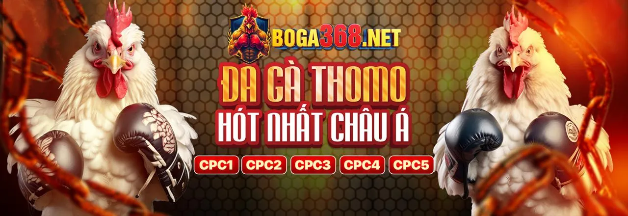 Đá Gà Trực Tuyến r98 link mới - Sân Đấu Kịch Tính