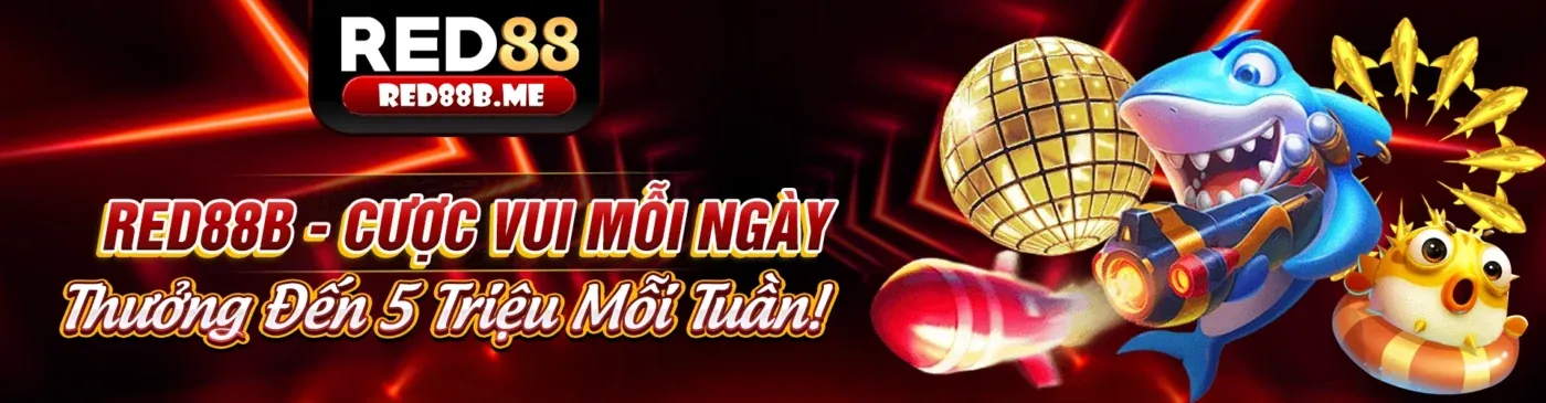 Hình ảnh Chính Sách Bảo Mật R98 - Đảm bảo an toàn dữ liệu người dùng
